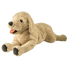 [IKEA] GOSIG GOLDEN 강아지 인형 (70cm) 301.693.42